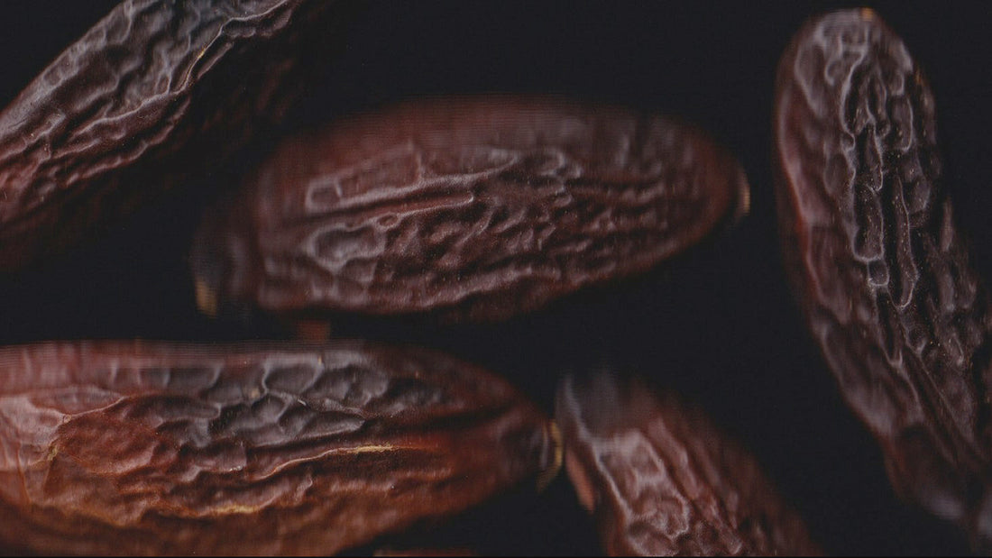On That Note: What Does Tonka Bean Smell Like in Fragrance?